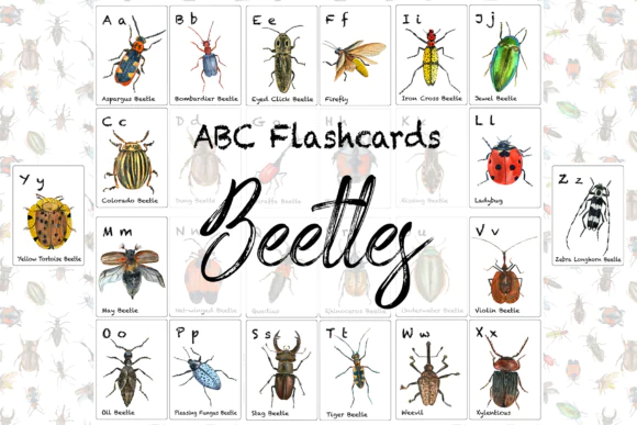 Beetles ABC Flashcards Printable for Kids – Watercolor Insect Alphabet Learning Cards, Preschool and Kindergarten Nature-Themed ABC Flashcards for Homeschool and Classroom Use