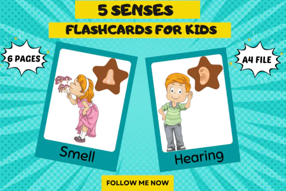 Five Senses Flashcards for Kids | Printable Science and Vocabulary Learning Cards for Preschool, Kindergarten, Homeschool, Classroom & Early Sensory Education