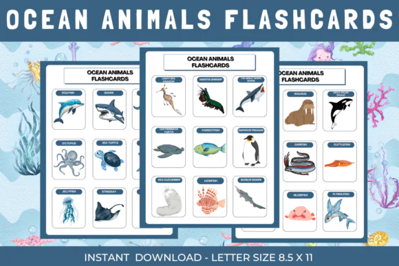 Ocean Animals Visual Learning Flashcards Printable PDF | Under the Ocean Theme Preschool & Kindergarten Educational Cards for Classroom & Homeschool