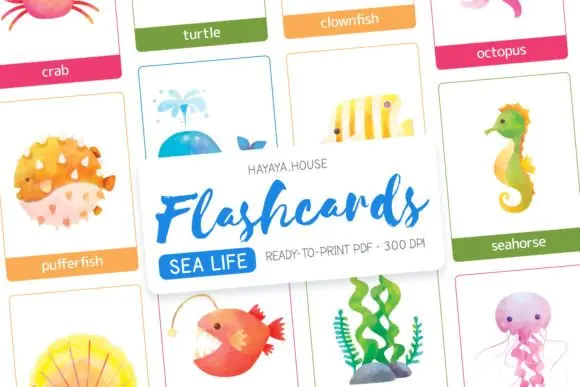 Ocean Animals and Sea Life Flash Cards | Printable Marine Animal Learning Cards for Kids, Preschool, Homeschool, Classroom Science & Ocean Vocabulary Activities