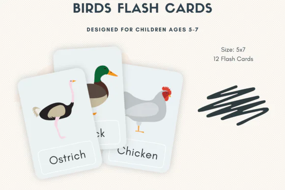 Bird-Themed Flashcards for Kids | 14 Printable Bird Learning Cards for Preschool, Homeschool, Classroom Nature Activities, Wildlife Vocabulary & Early Learning