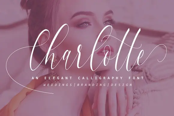 Charlotte Calligraphy Font | Elegant Romantic Modern Script Typeface for Wedding Invitations, Logos, Branding, Stationery & Feminine Designs
